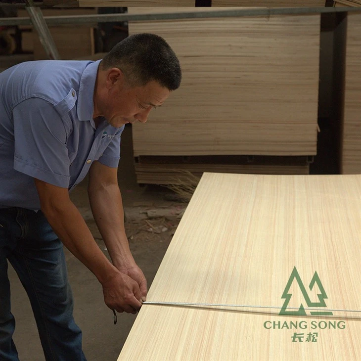 EV POPLAR PLYWOOD1